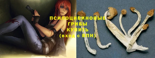шишки Новозыбков