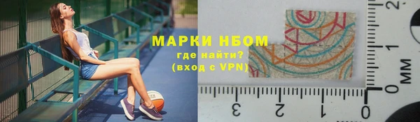 шишки Новозыбков