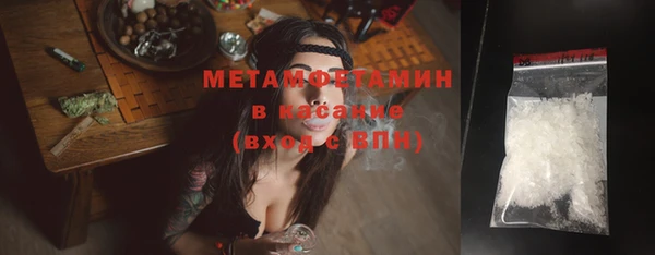 шишки Новозыбков