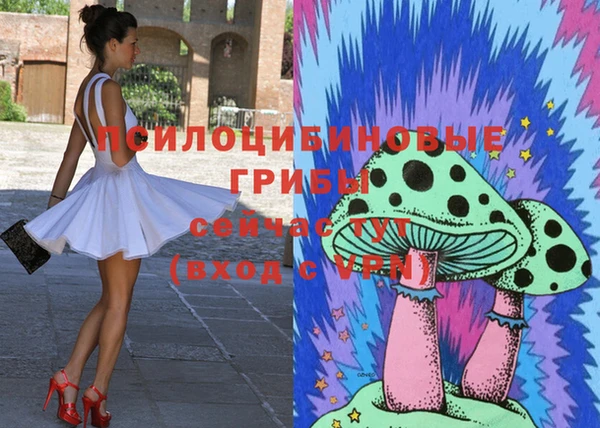 мяу мяу мука Новодвинск