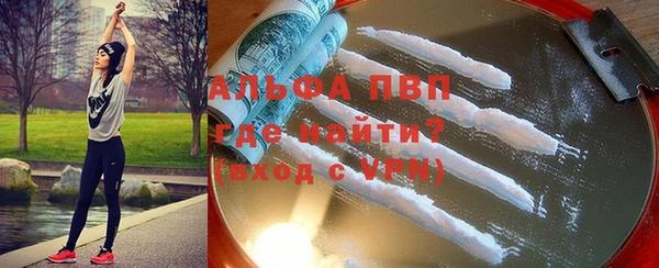 шишки Новозыбков