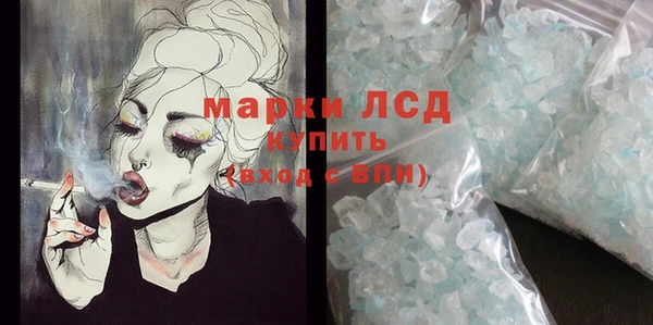 шишки Новозыбков