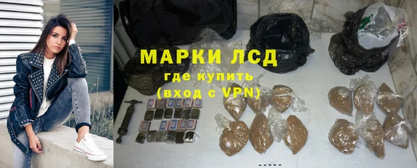 шишки Новозыбков