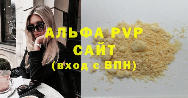 шишки Новозыбков
