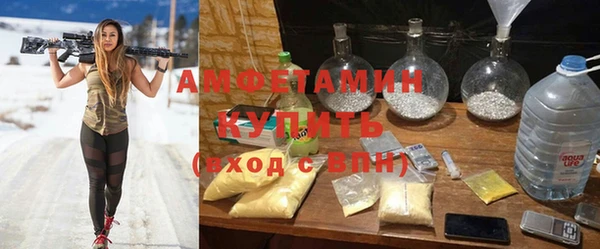 шишки Новозыбков