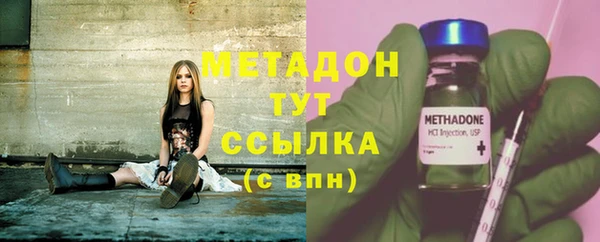шишки Новозыбков
