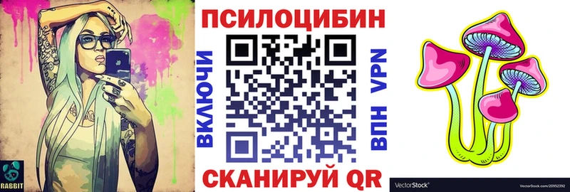 shop формула Севск Псилоцибиновые грибы GOLDEN TEACHER MEGA ТОР